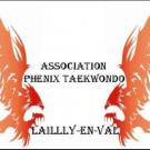 phenix-taekwondo.jpg