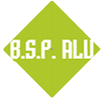 BSP Alu2.png