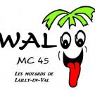 Logo WalooMC45.jpg